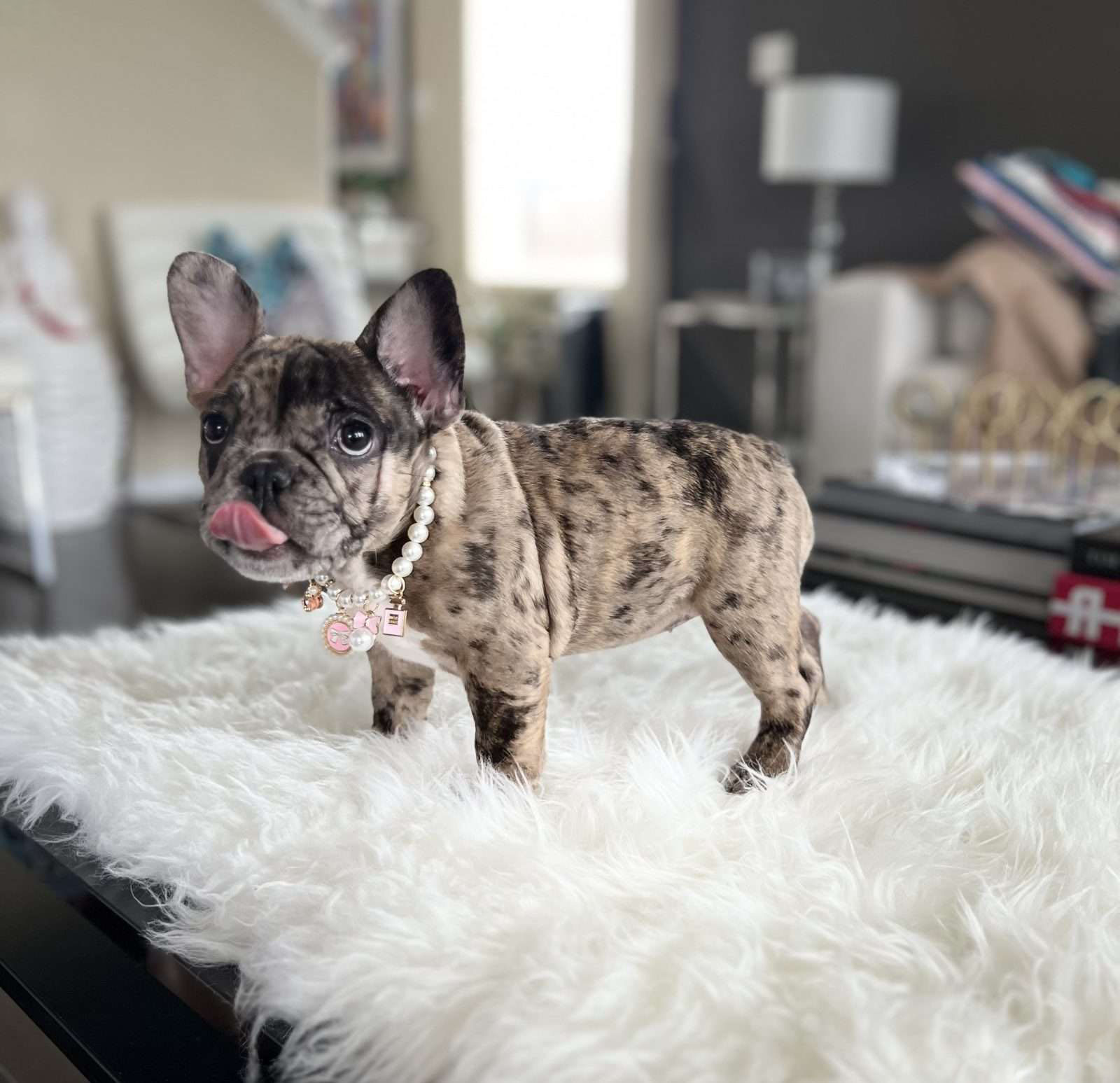 Nala 