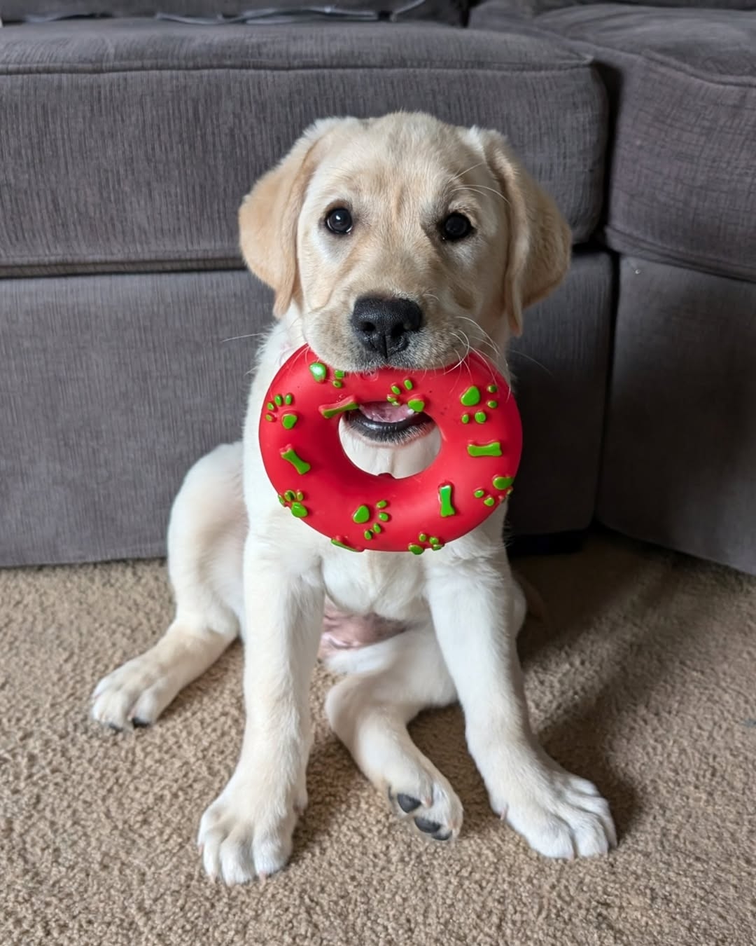 Tillie