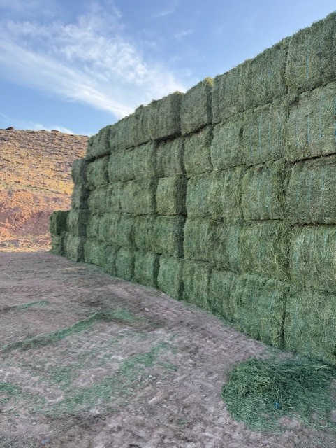 Alfalfa Hay ( Large Square 3x4 )