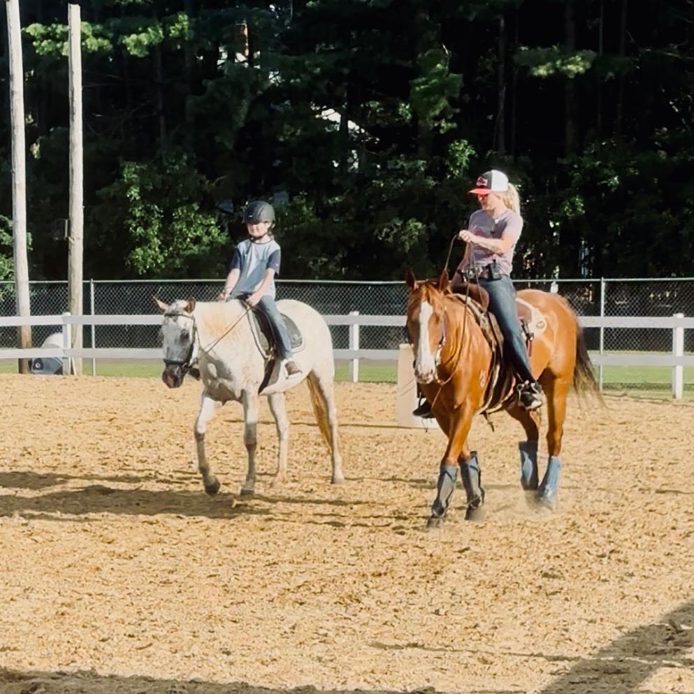Tomcat Barrel Horse 