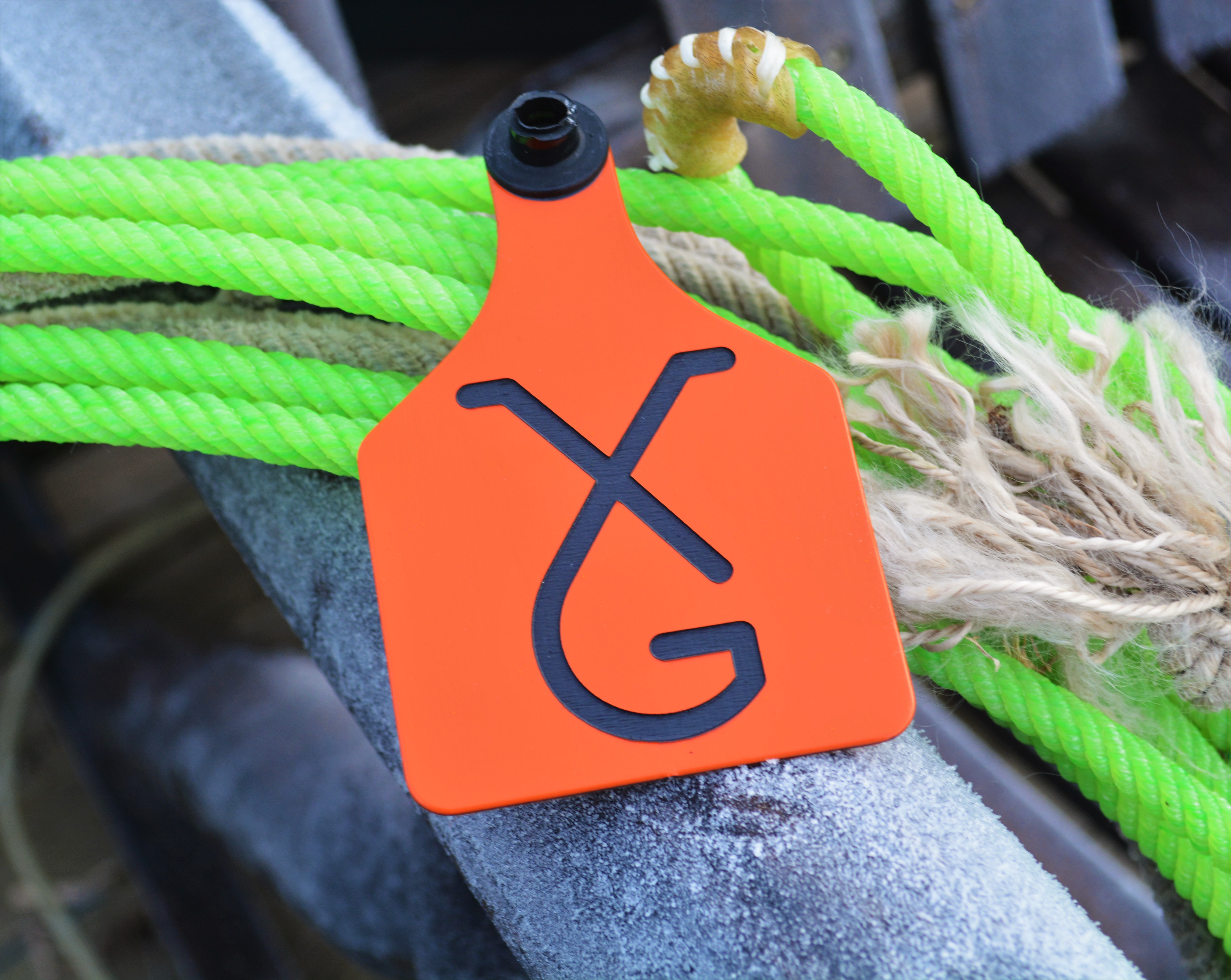 Custom Cattle Ear Tag (Standard/Large Size)