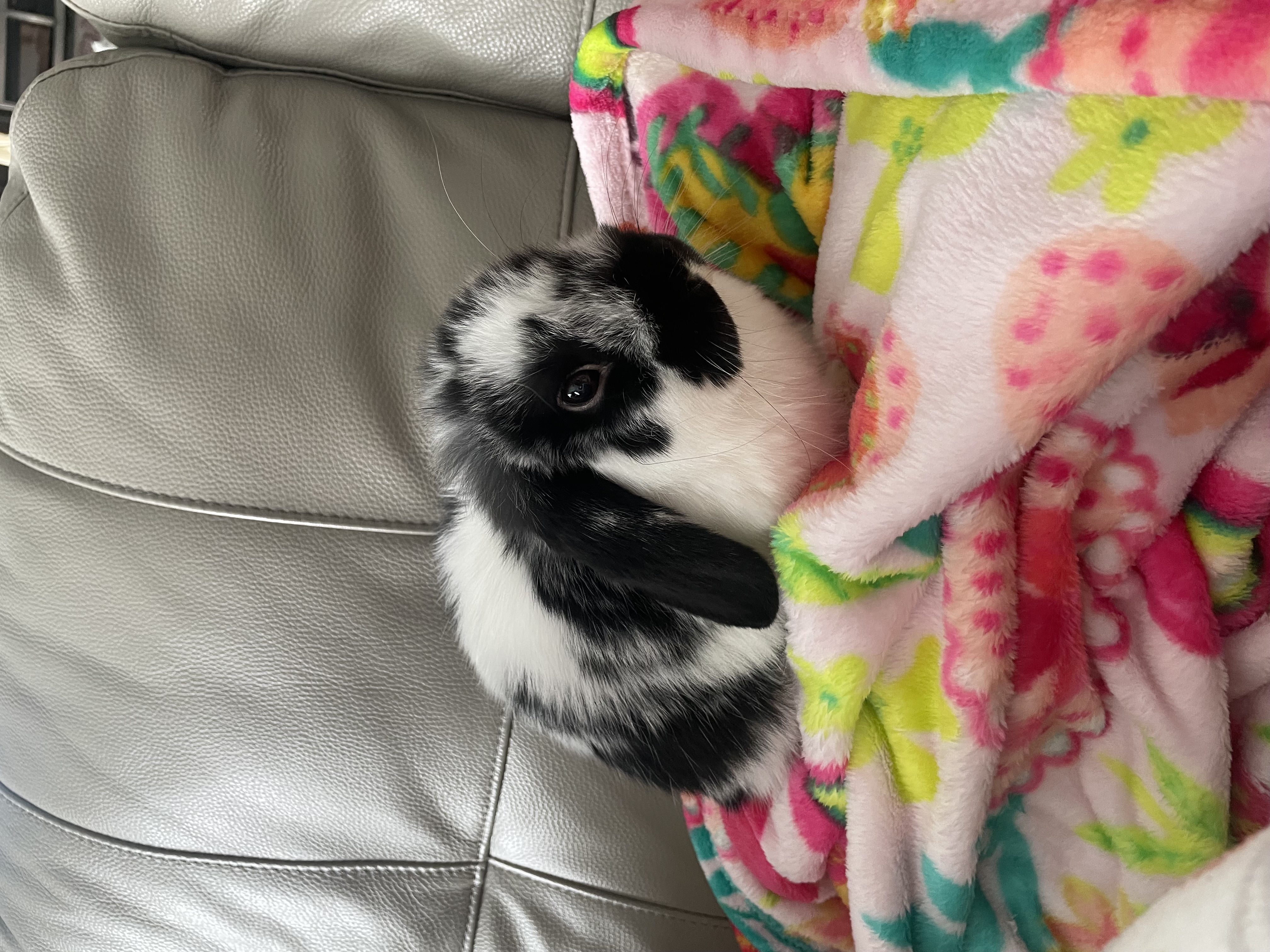 Ollie and Penny
