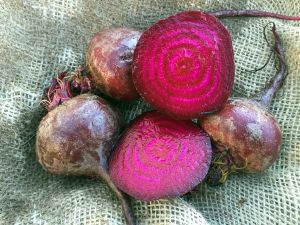 Red Cloud Beets