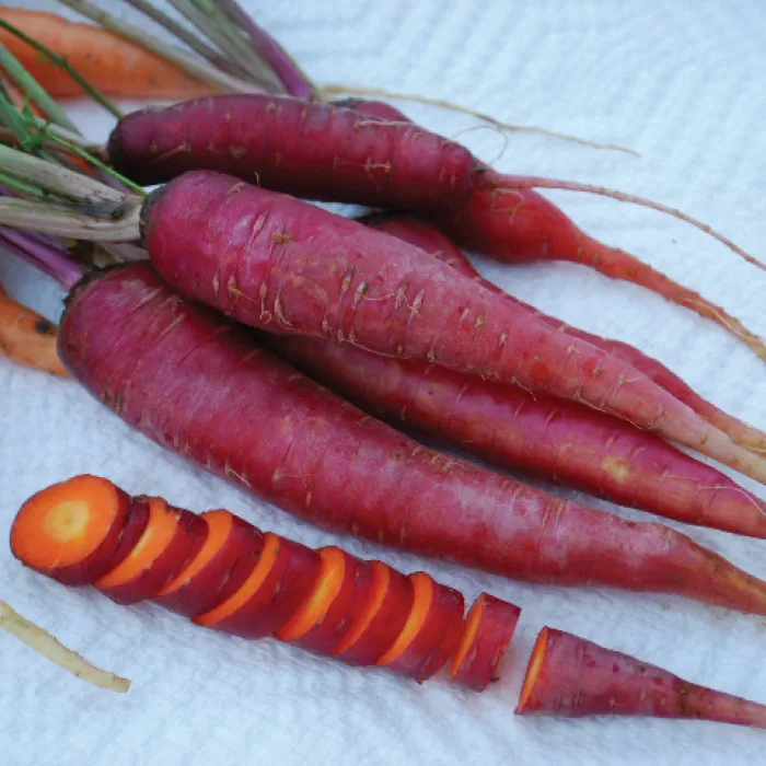 Dragon Carrots