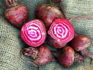 Candy Stripe/Chioggia/Bull's Eye Beets