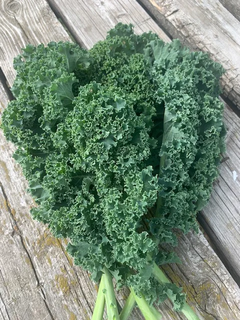 Green Kale