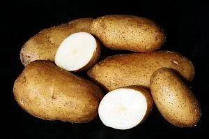 Kennebec Potatoes