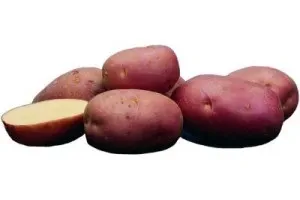 Roko Potatoes