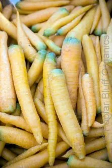 Yellowstone Carrots