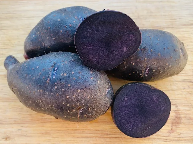 Violet Queen Fingerling Potatoes