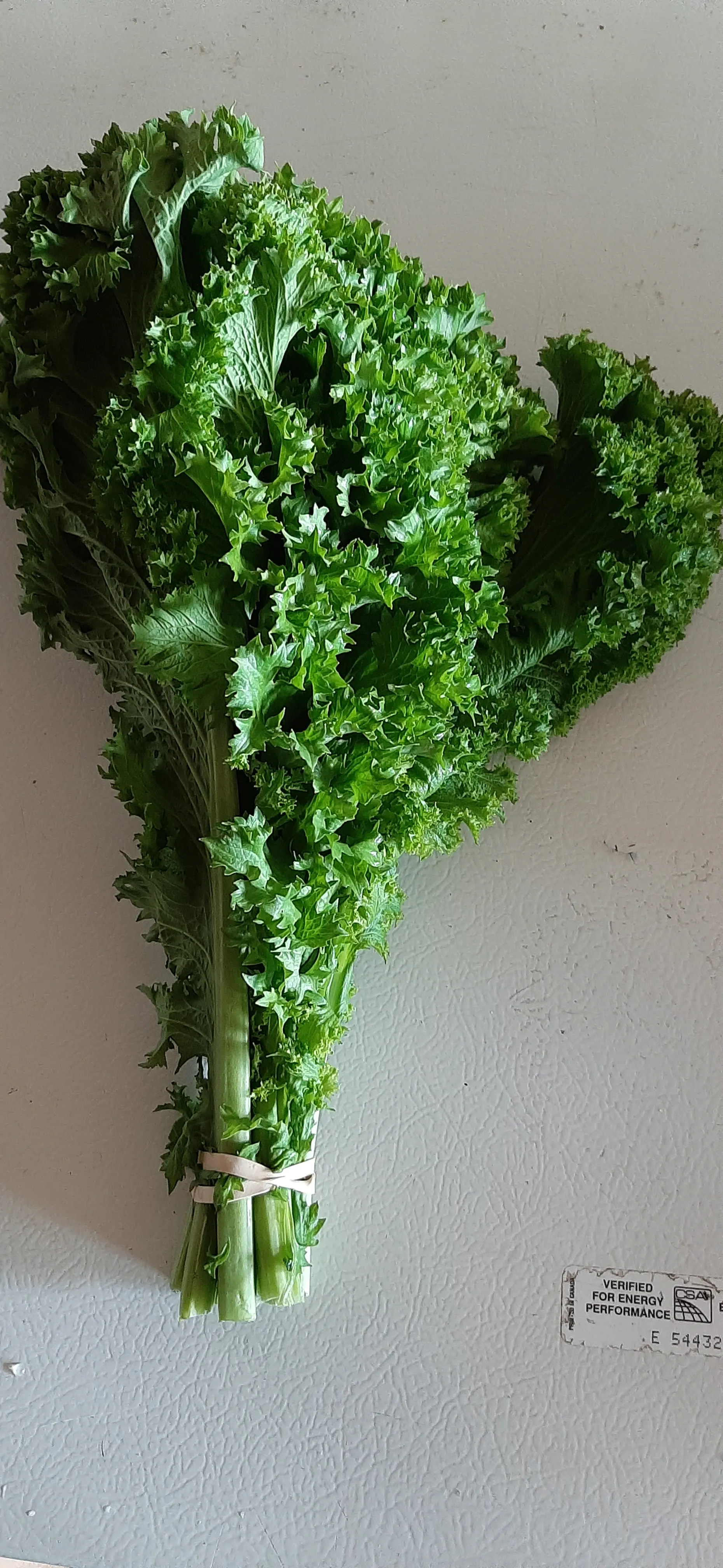 Mustard Greens