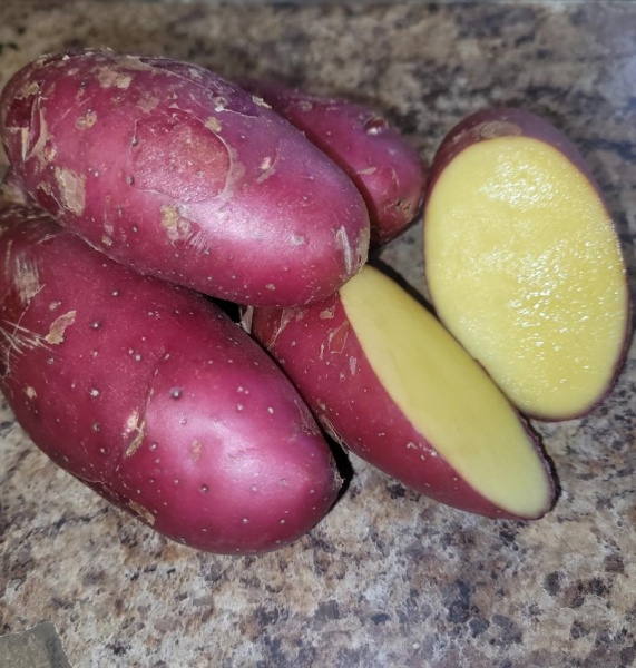 Cecile Fingerling Potatoes
