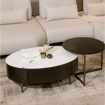 Modern Coffee Table Set