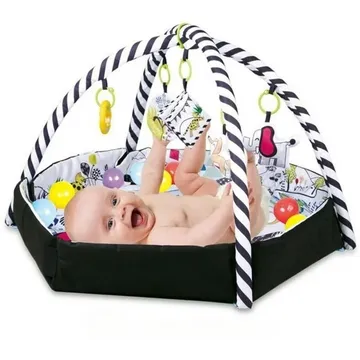 Baby Play Gym