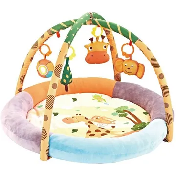 Baby Play Gym