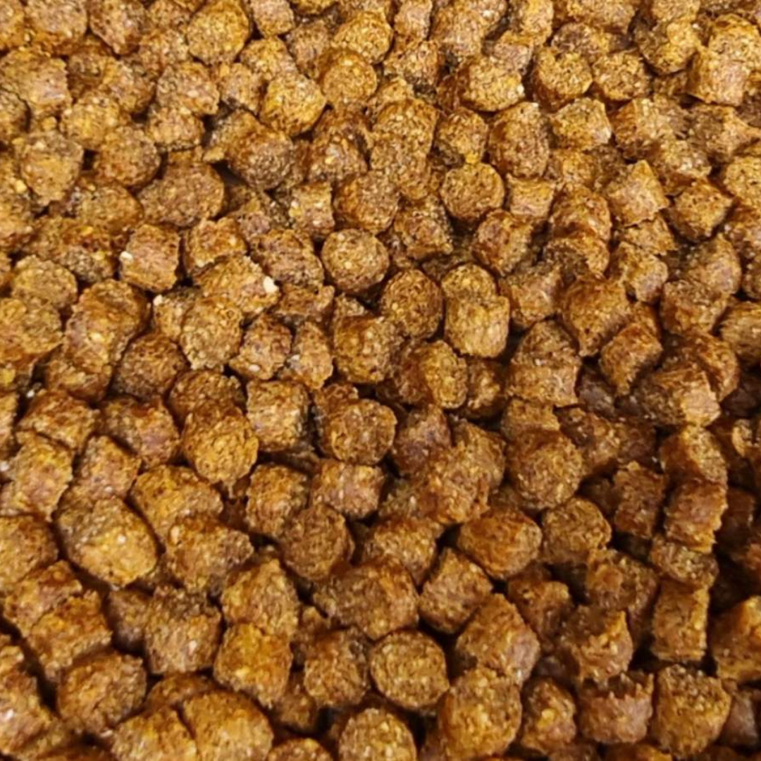 Peletės Corn