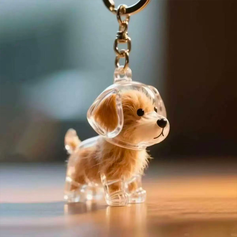A variety of dog type fur storage commemorative pendants