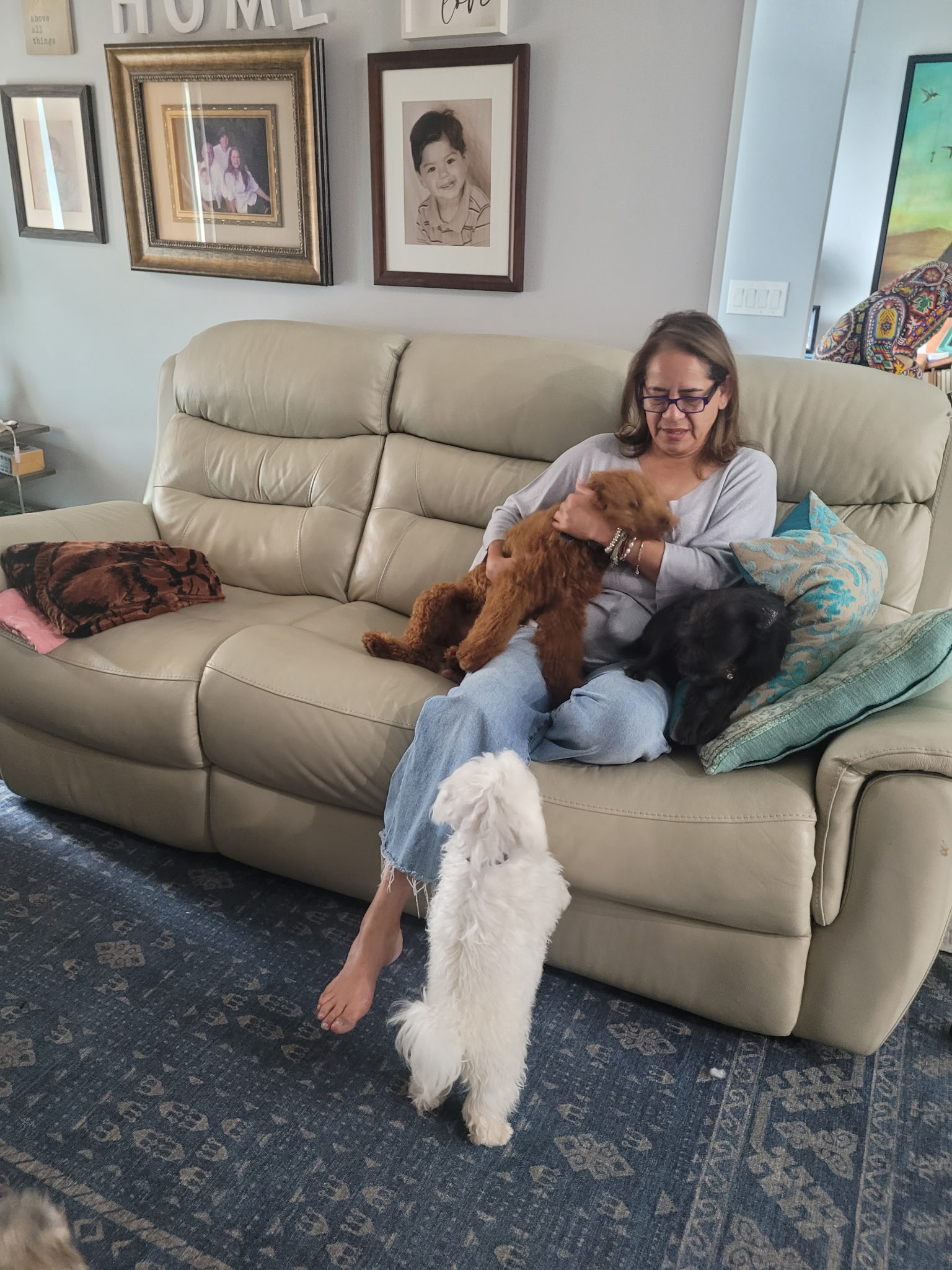 Crate Free - Over Night Boarding Starts At