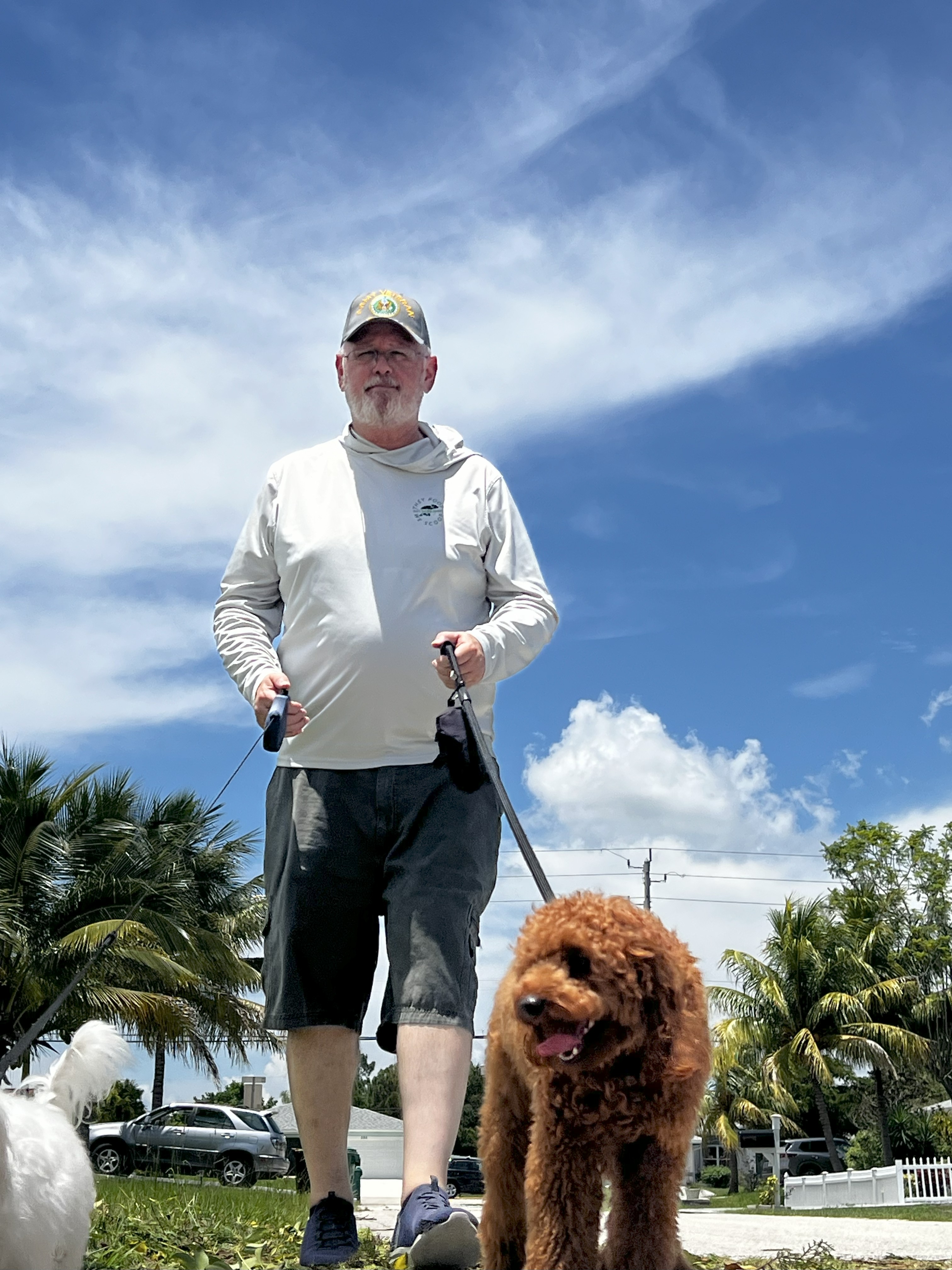 Daily Dog walking Rates Starts At