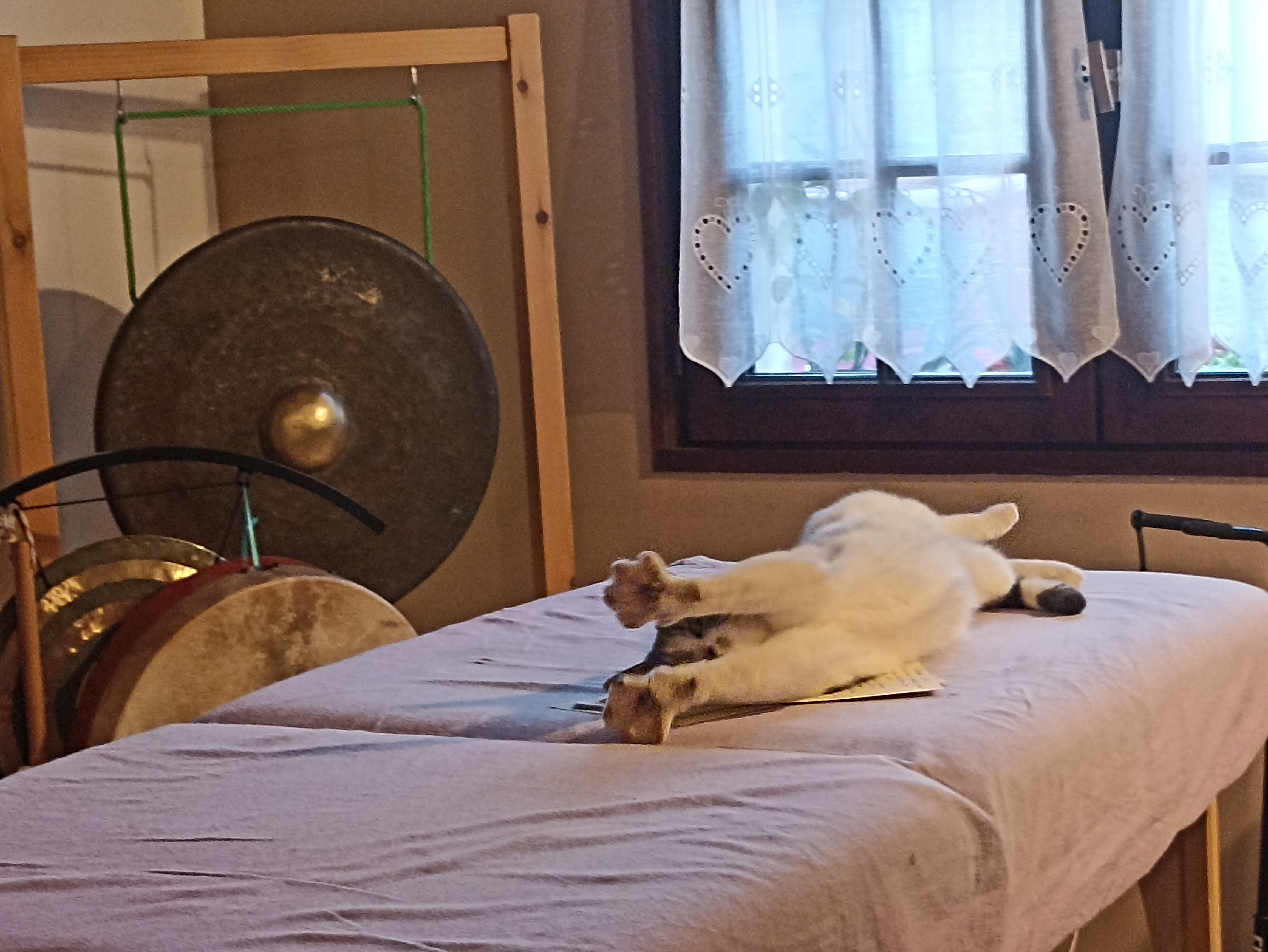  Soins Energetiques:Reiki Usui 