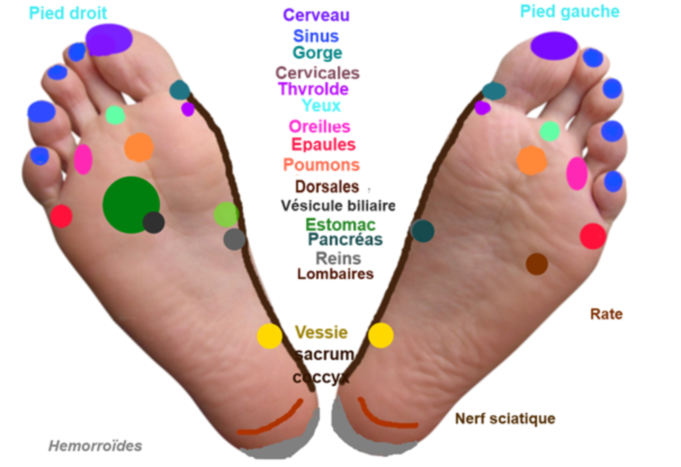 Seances de reflexologie plantaire