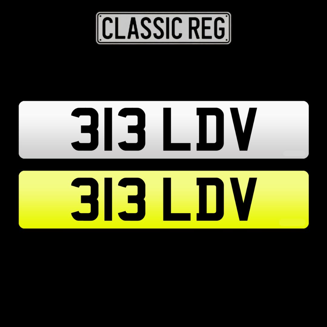 313 LDV