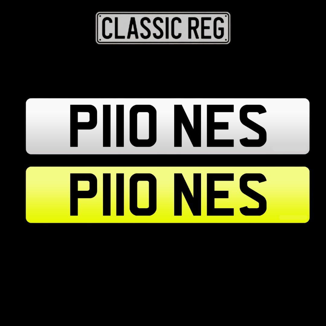 P110 NES