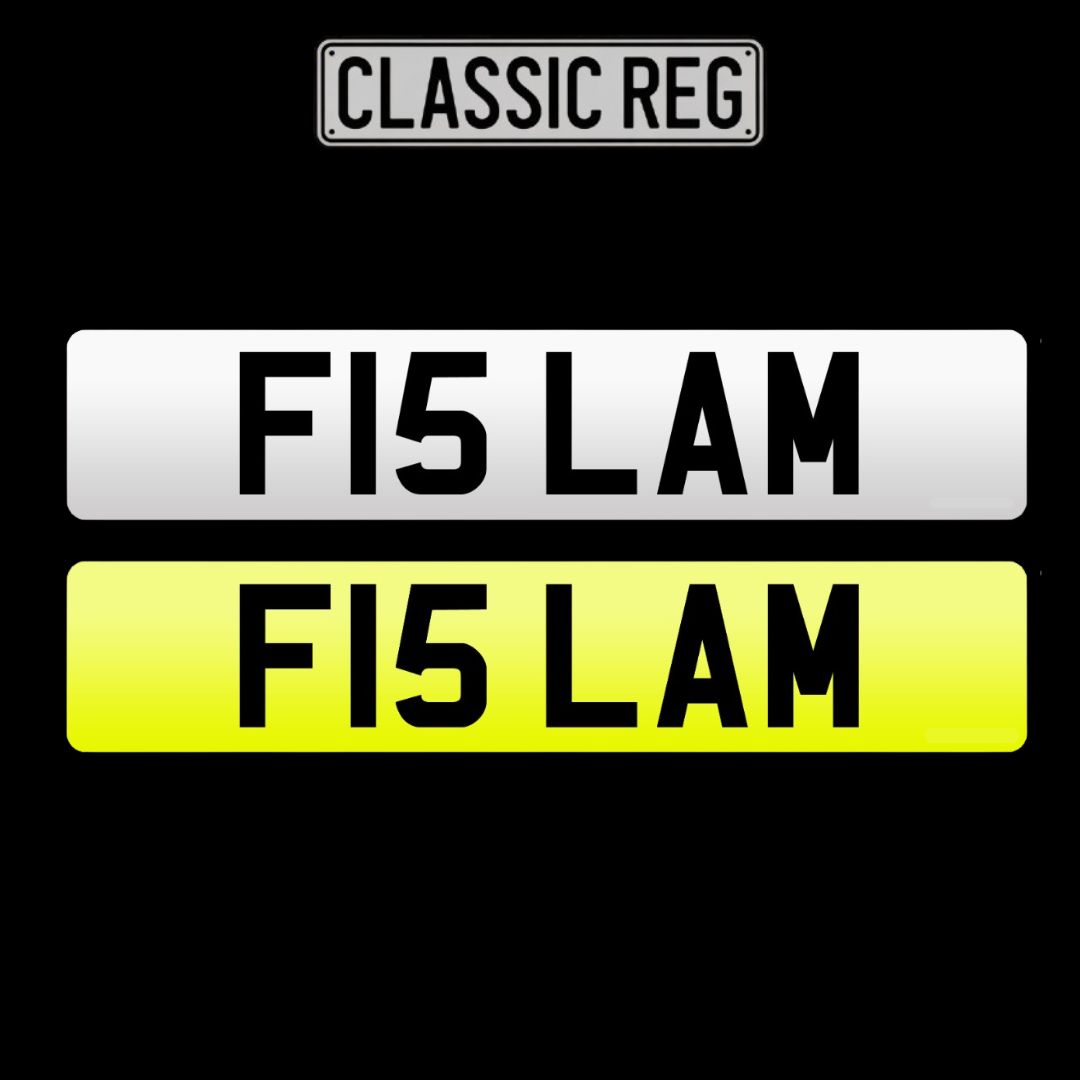 F15 LAM