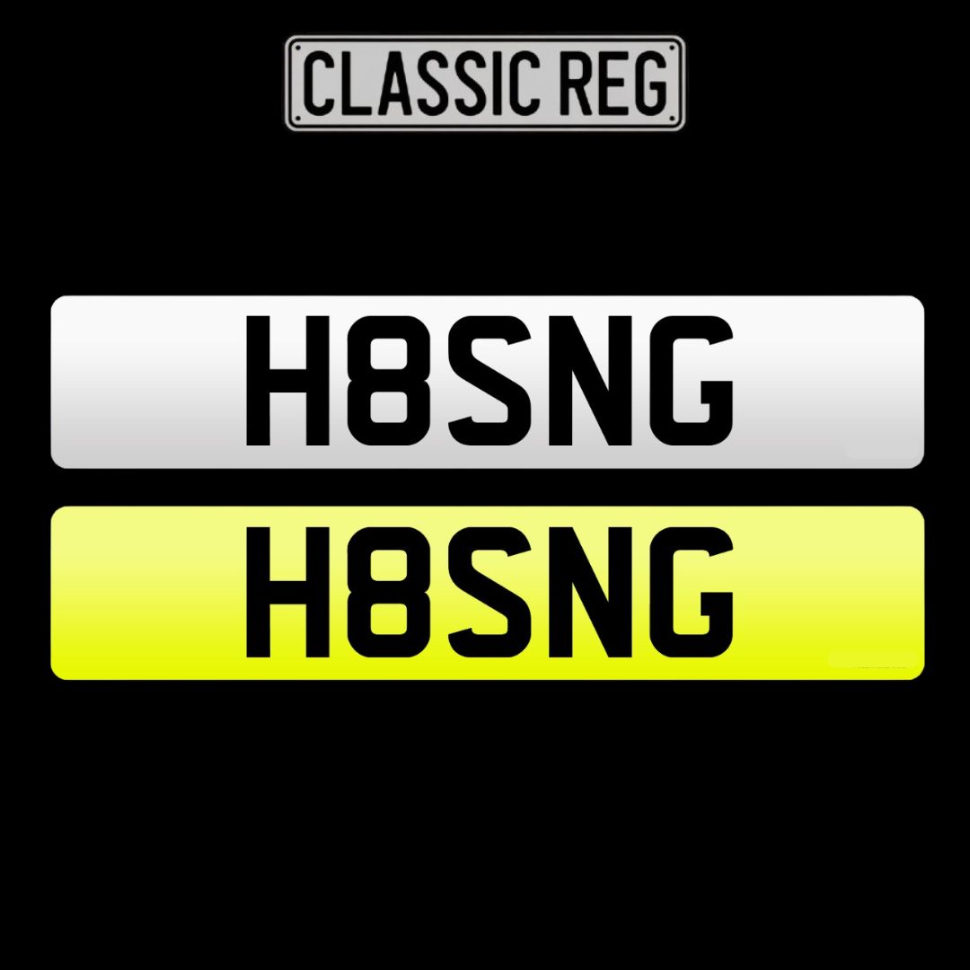 H8SNG