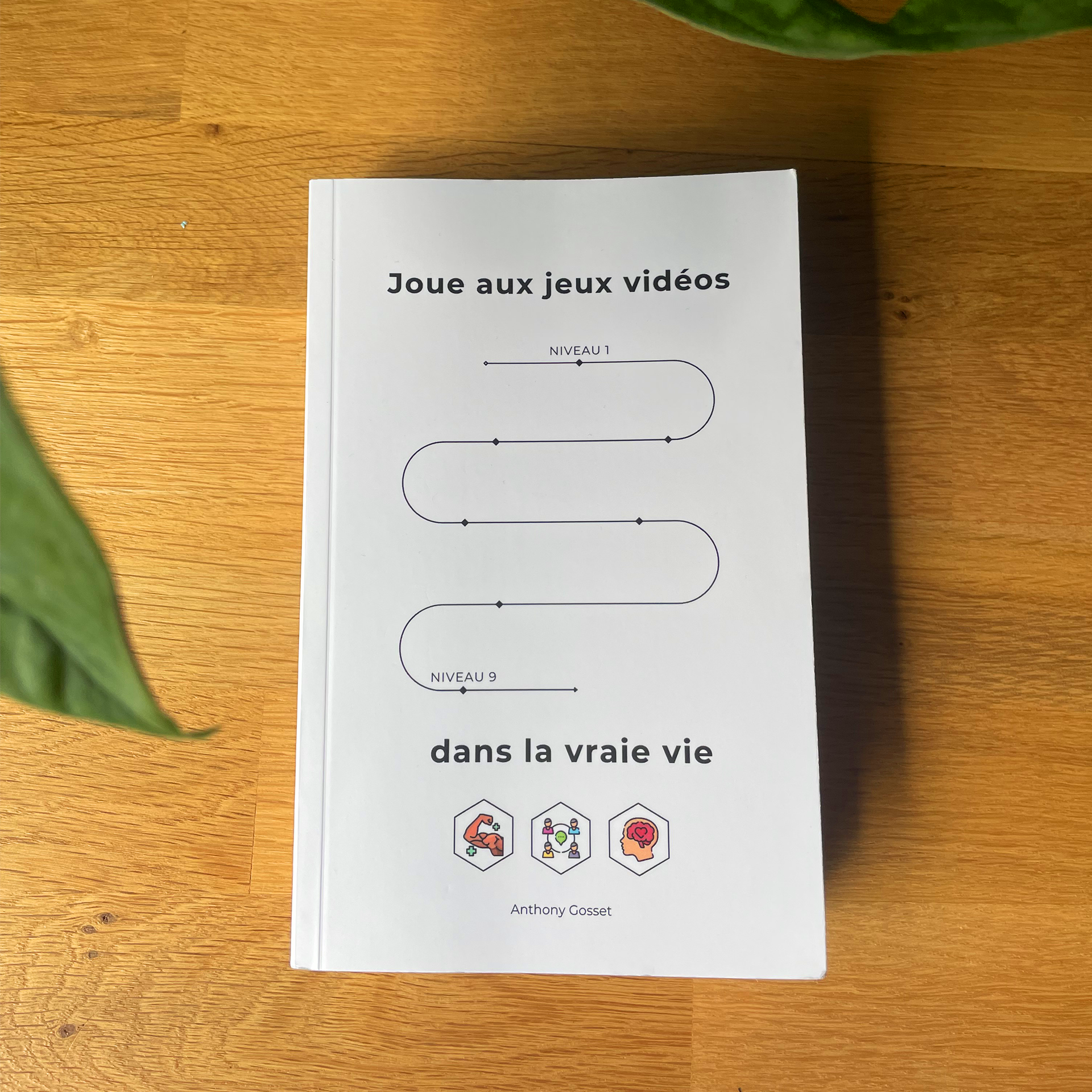 Joue aux jeux vidéos dans la vraie vie V1