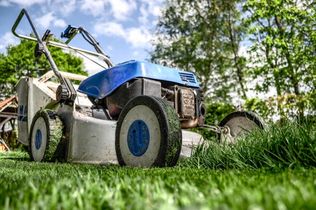Lawn Care Appointment – Setup, Mowing & Ongoing Maintenance Consultation