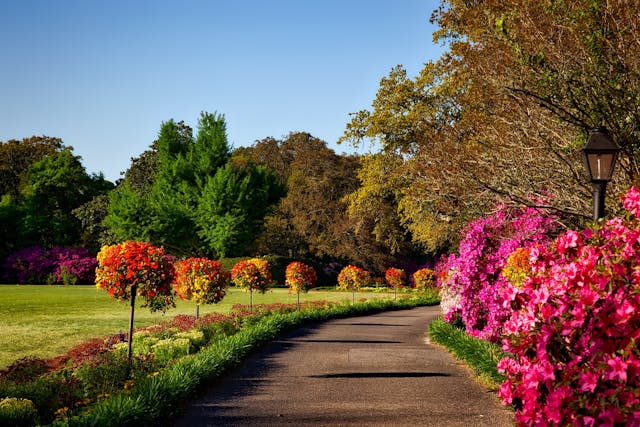 Lawn Care Appointment – Setup, Mowing & Ongoing Maintenance Consultation