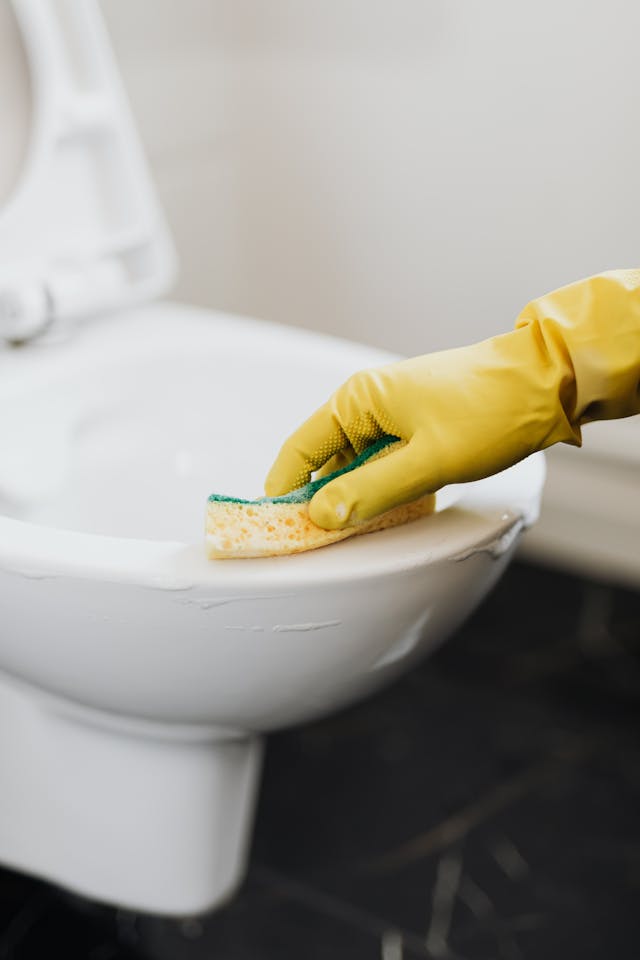 Cleaning Appointment – Deep Cleaning & Sanitization Consultation