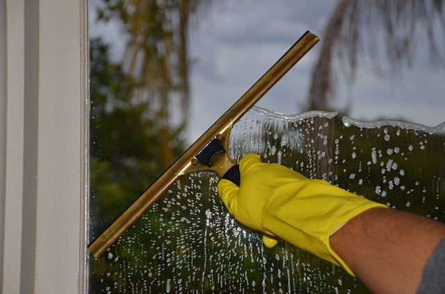 Cleaning Appointment – Deep Cleaning & Sanitization Consultation