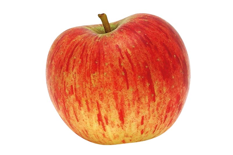 Pommes & Poires Bio de nos Vergers