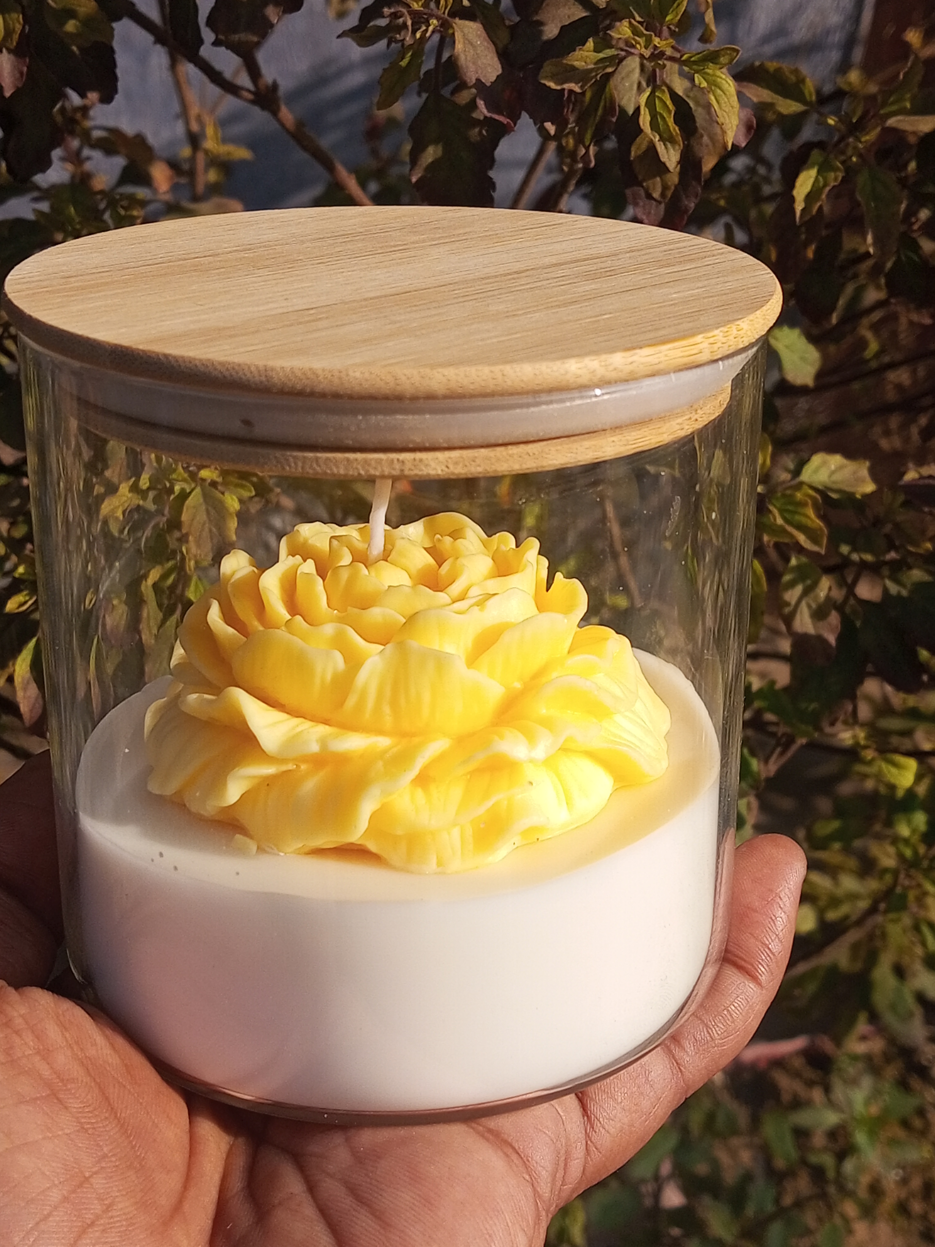Feromic Rose Fragrance Peony Candle, Handcrafted Glass Jar, Single Pack