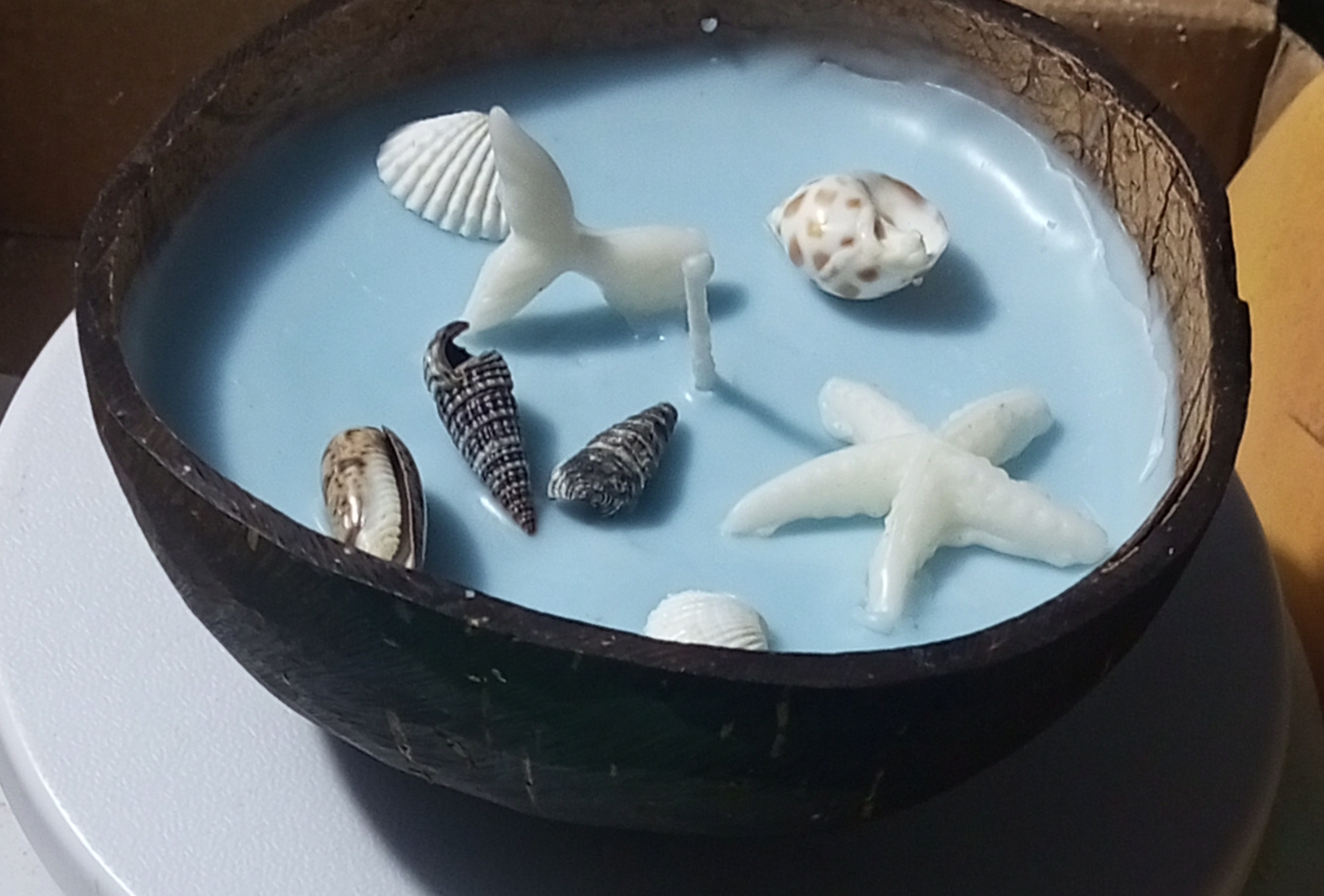 Feromic Decorative Ocean Theme Coconut Shell Candle, Blue Wax with Seashell Design, Beach Style Home Decor