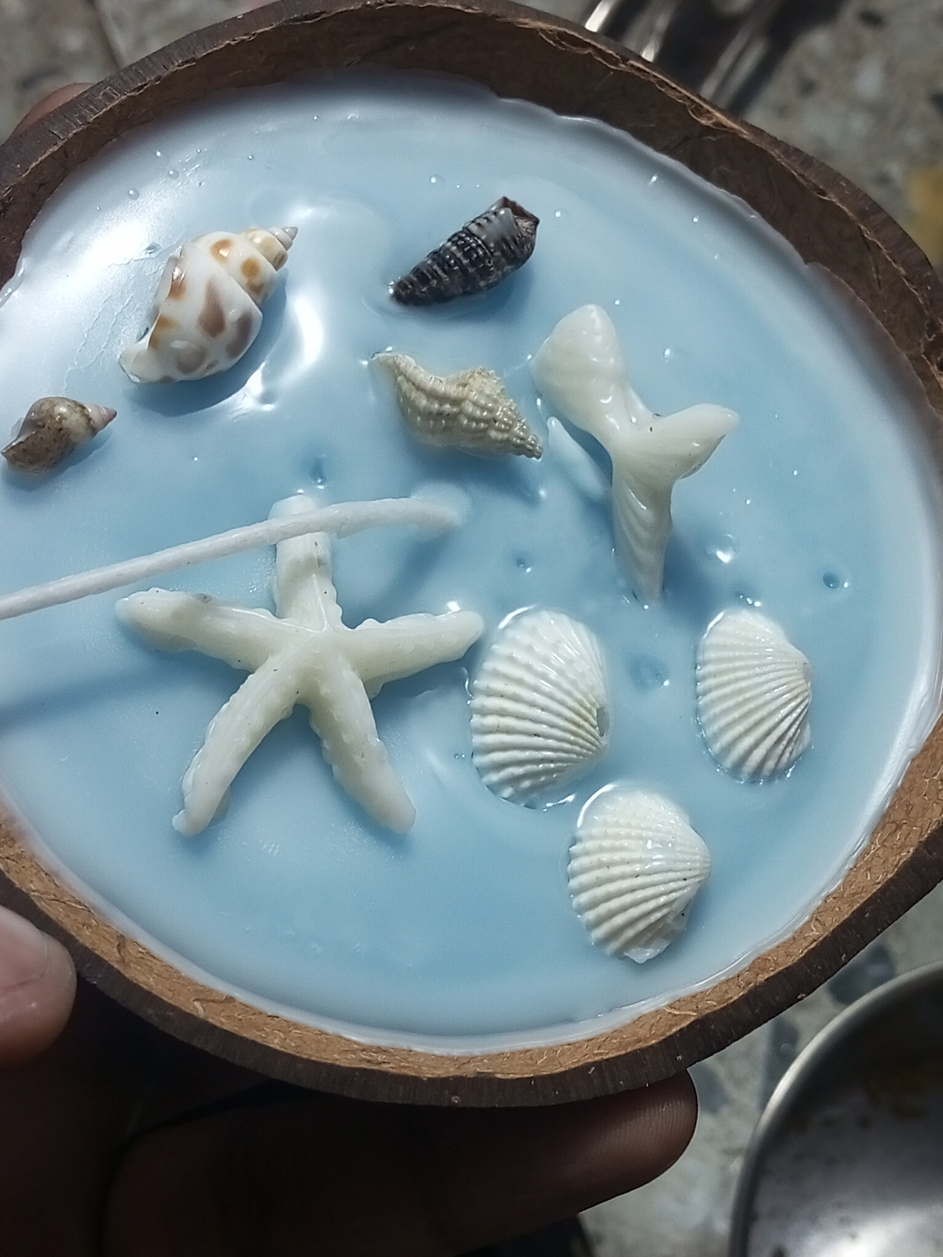 Feromic Decorative Ocean Theme Coconut Shell Candle, Blue Wax with Seashell Design, Beach Style Home Decor