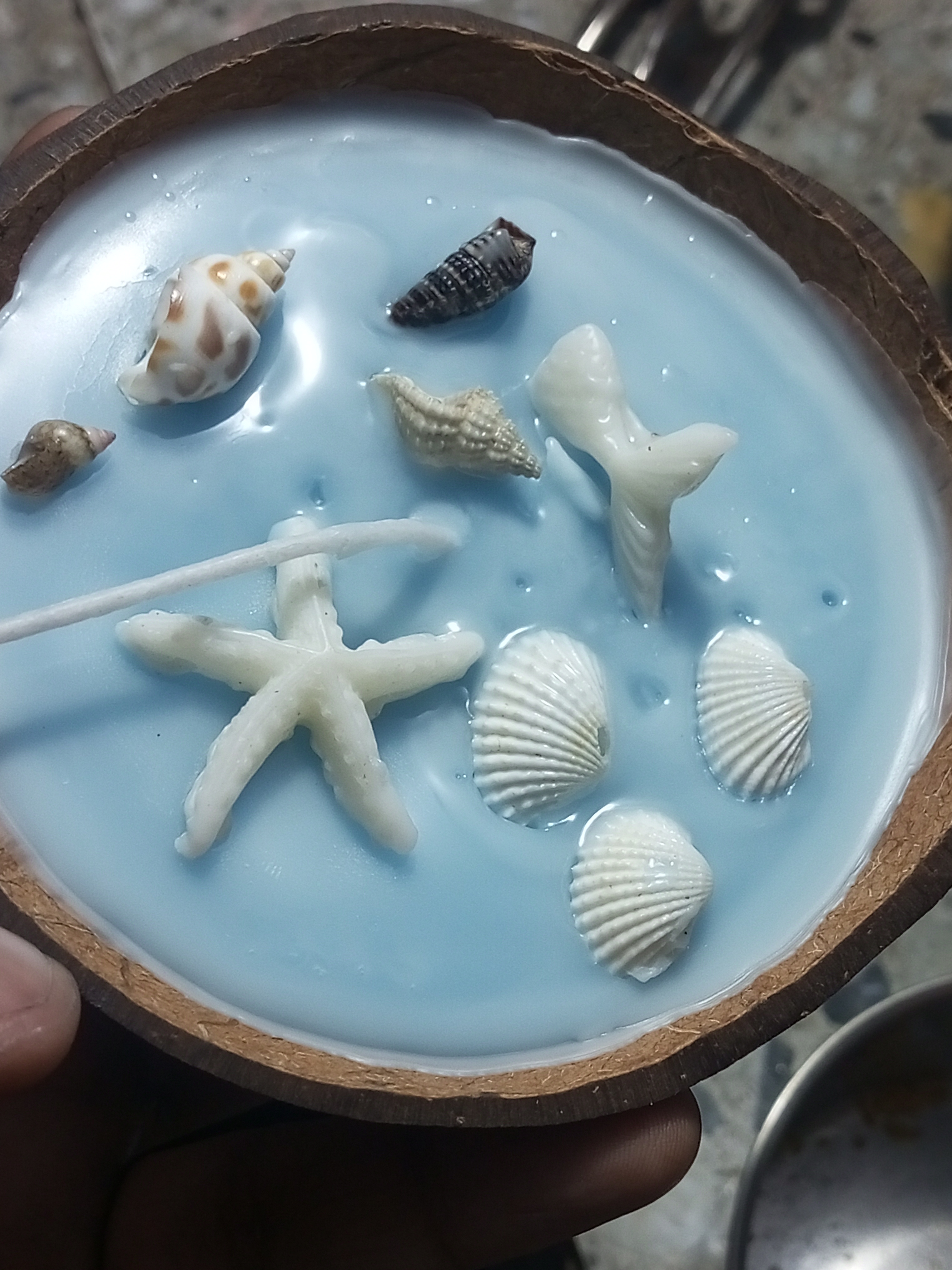 Feromic Decorative Ocean Theme Coconut Shell Candle, Blue Wax with Seashell Design, Beach Style Home Decor