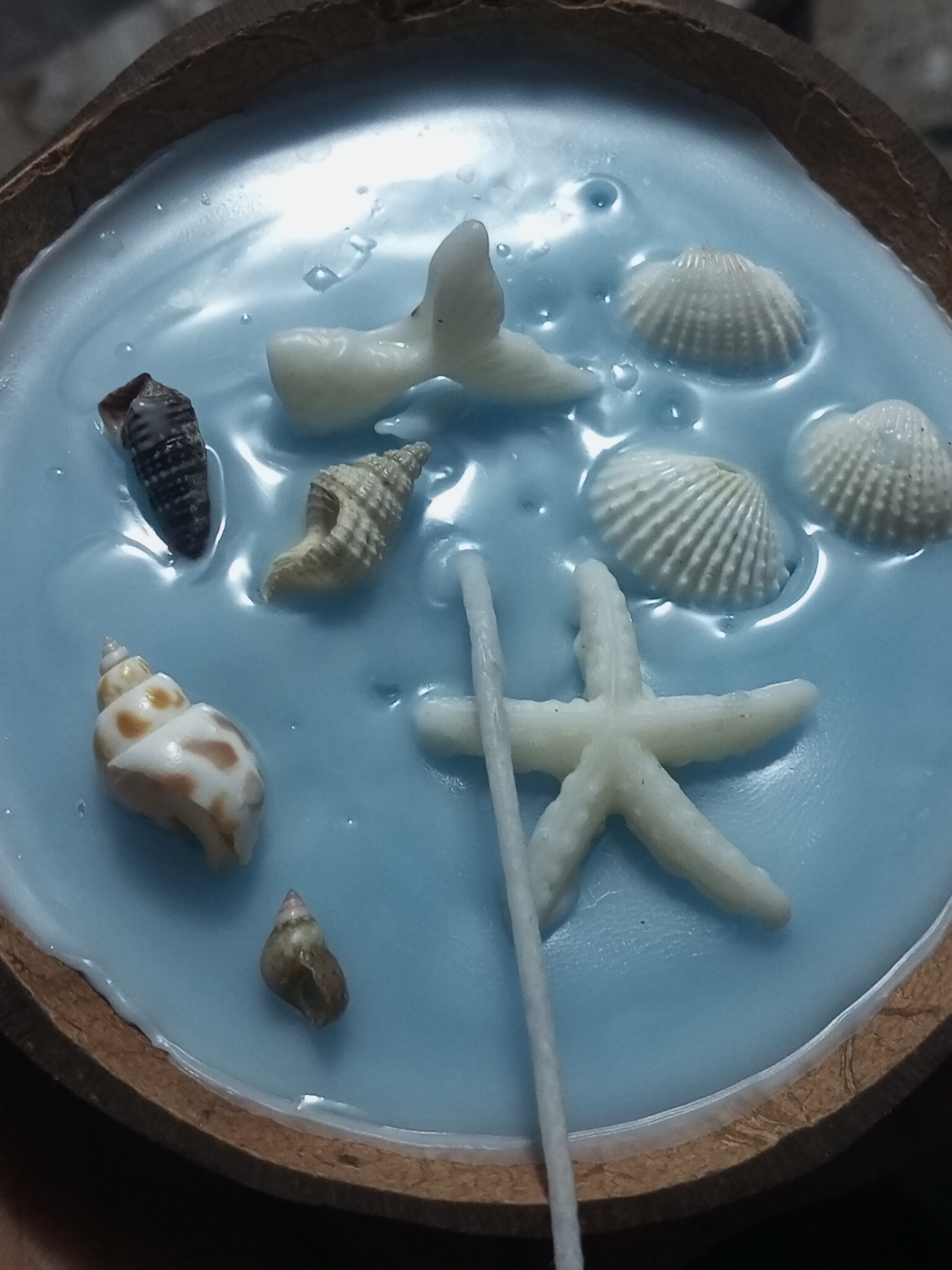 Feromic Decorative Ocean Theme Coconut Shell Candle, Blue Wax with Seashell Design, Beach Style Home Decor
