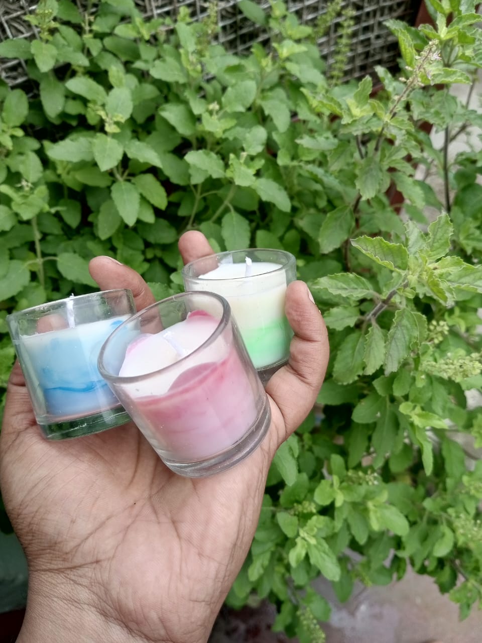 Feromic Night Jasmine Scented Designer Candles – Pack of Three (Green, Blue, Red)