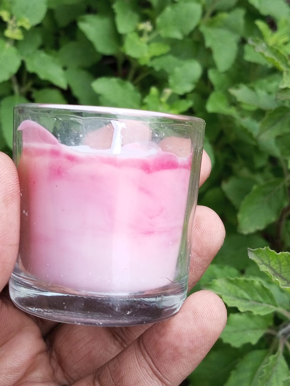 Feromic Night Jasmine Scented Designer Candles – Pack of Three (Green, Blue, Red)