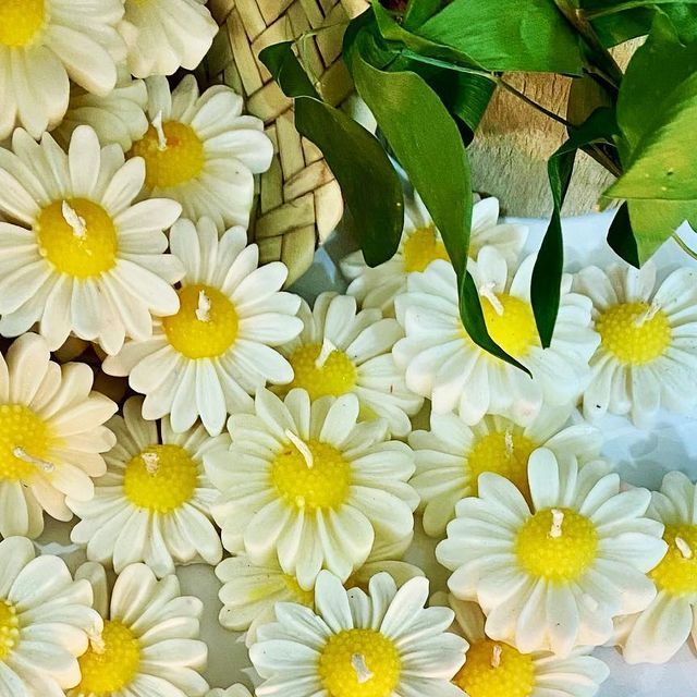 White Daisy Flower Candles – Pack of 6 Handcrafted Decorative Wax Candles for Gifting & Home Décor by Feromic