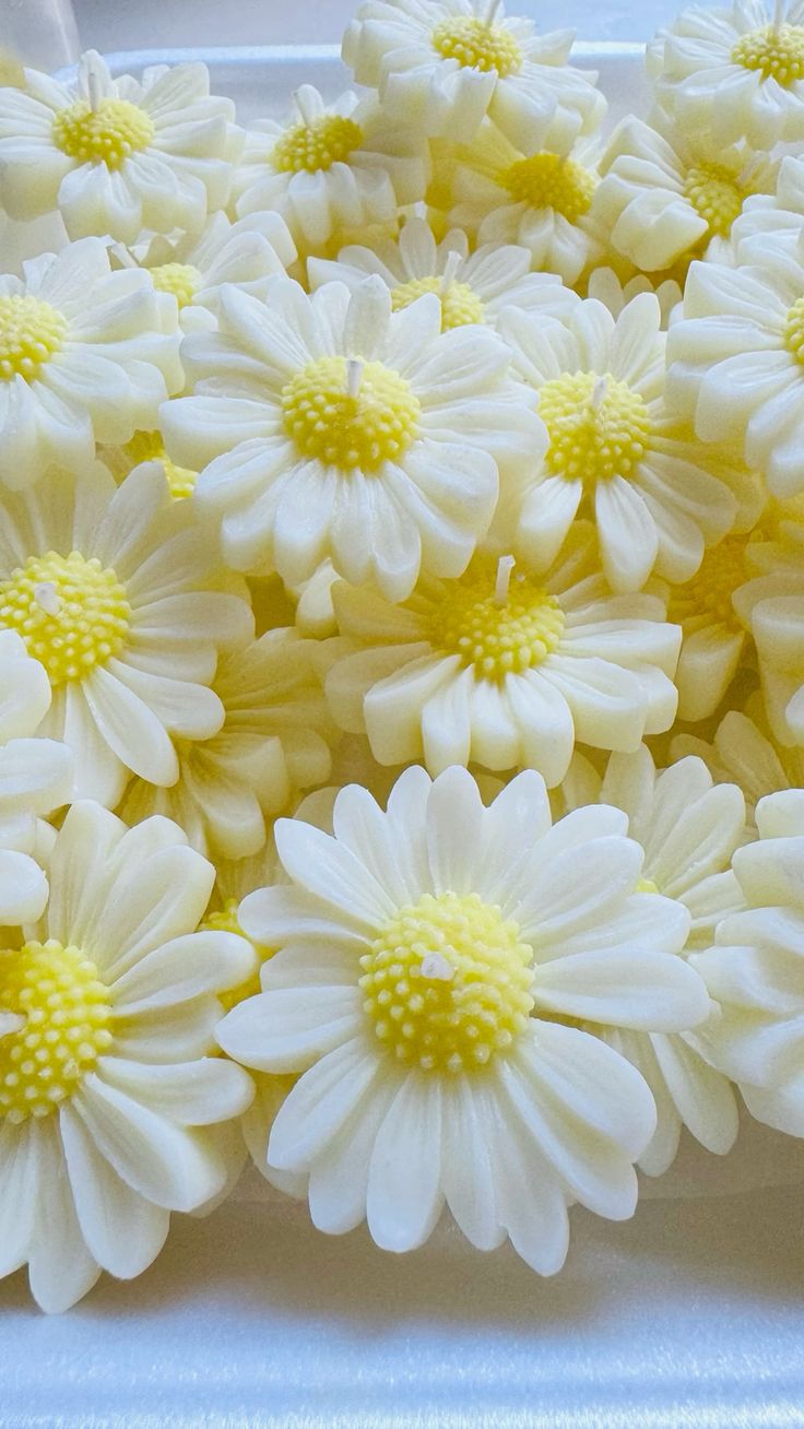 White Daisy Flower Candles – Pack of 6 Handcrafted Decorative Wax Candles for Gifting & Home Décor by Feromic