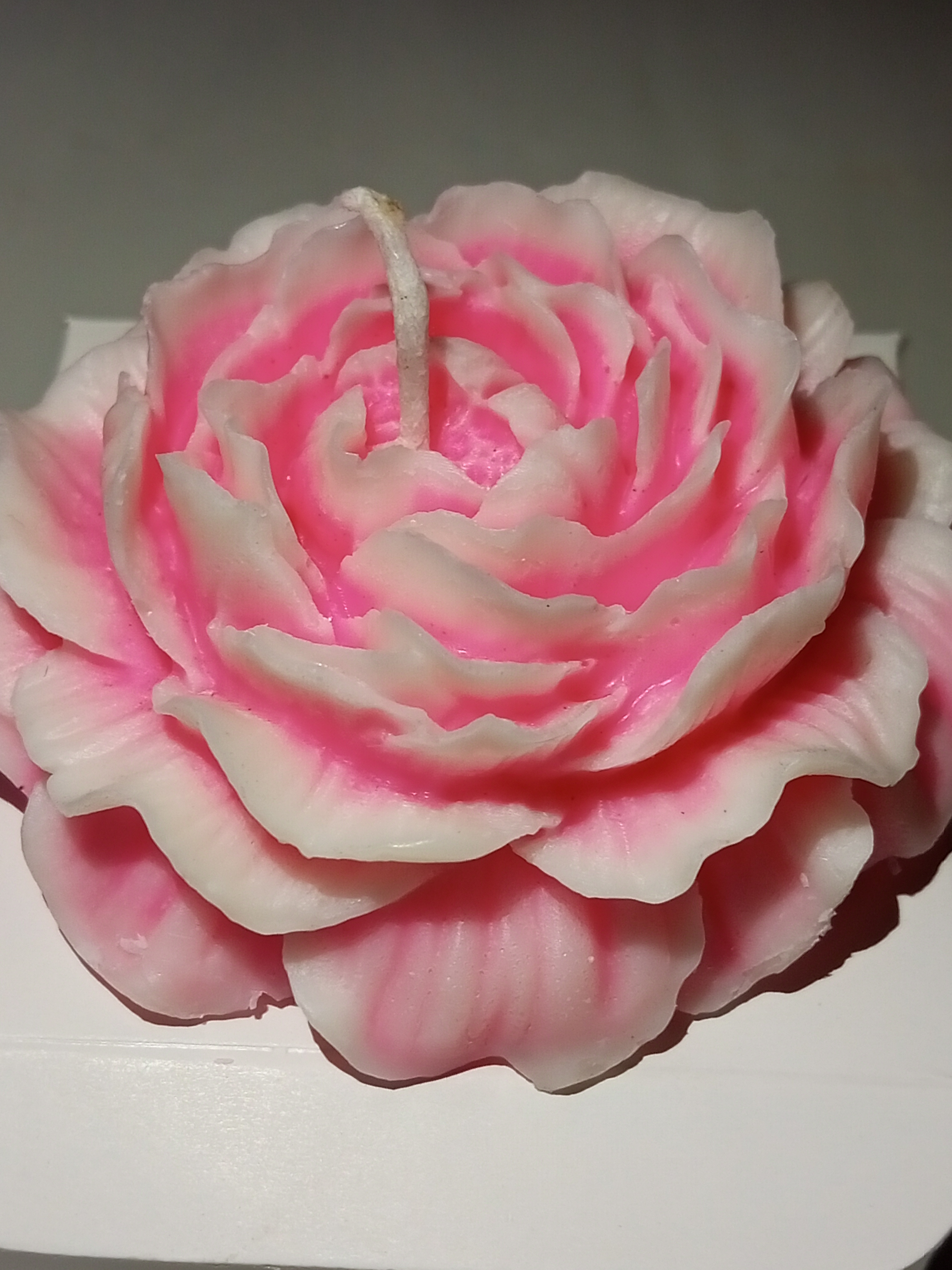 Feromic Premium Peony Flower Lavender Scented Candle, Pack of 1, White and Pink Colour