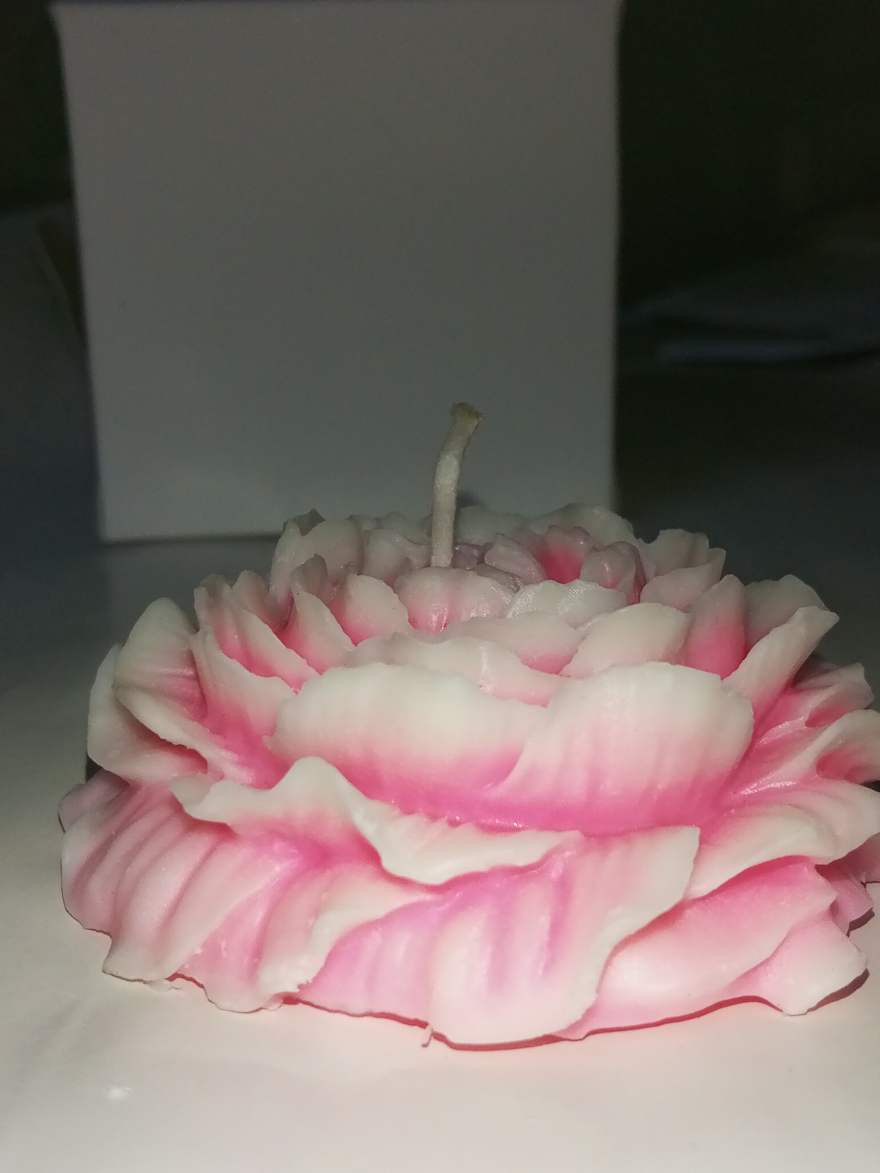 Feromic Premium Peony Flower Lavender Scented Candle, Pack of 1, White and Pink Colour