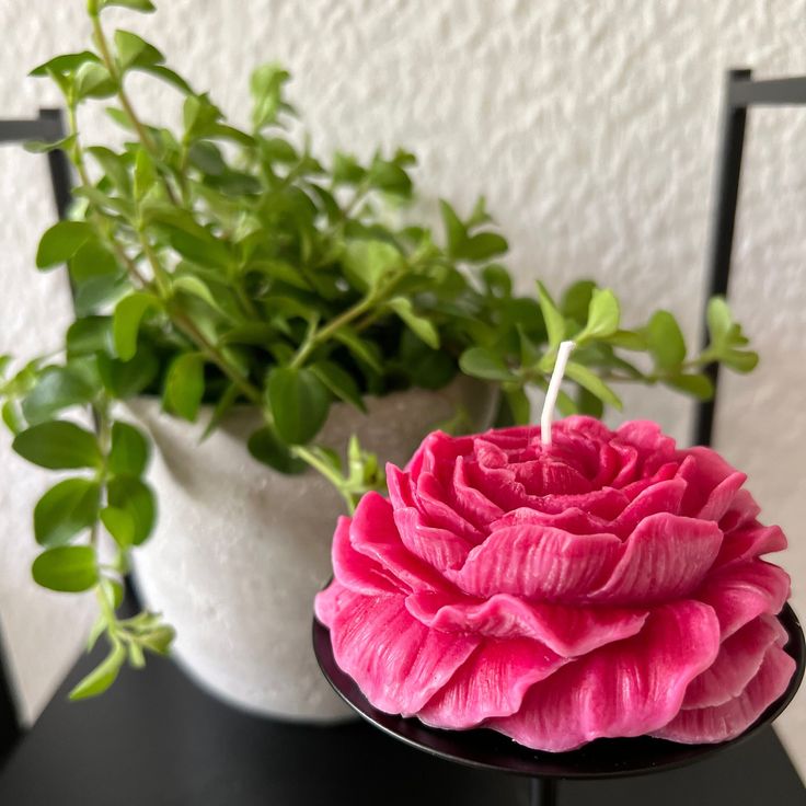 Feromic Peony Candles – Hand-Poured and Highly Detailed for Unique Decor, Pack of ,1 Pink Colour, Rose Scented
