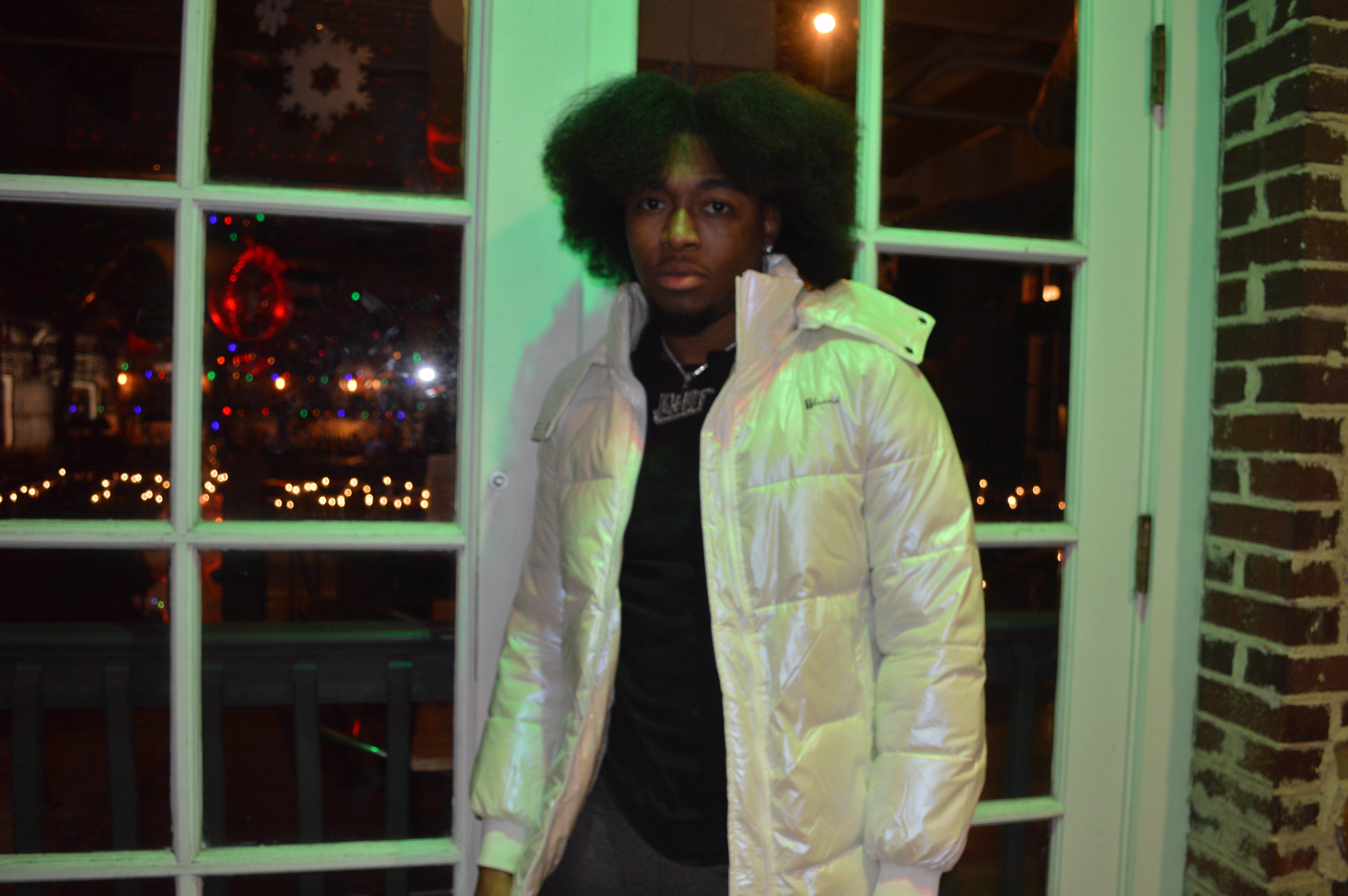 Shinny Snow Puffer 