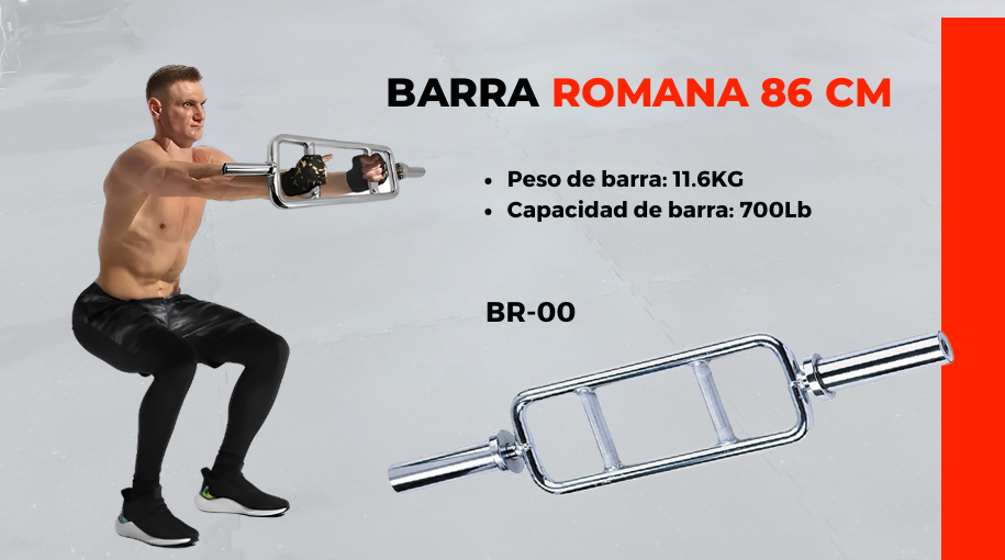 BARRAS