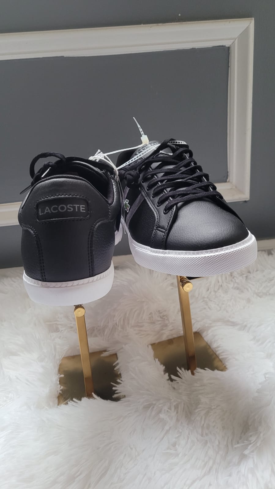 Tennis Lacoste homme